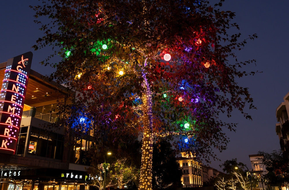 Save Money with Energy-Efficient Outdoor Christmas Lights