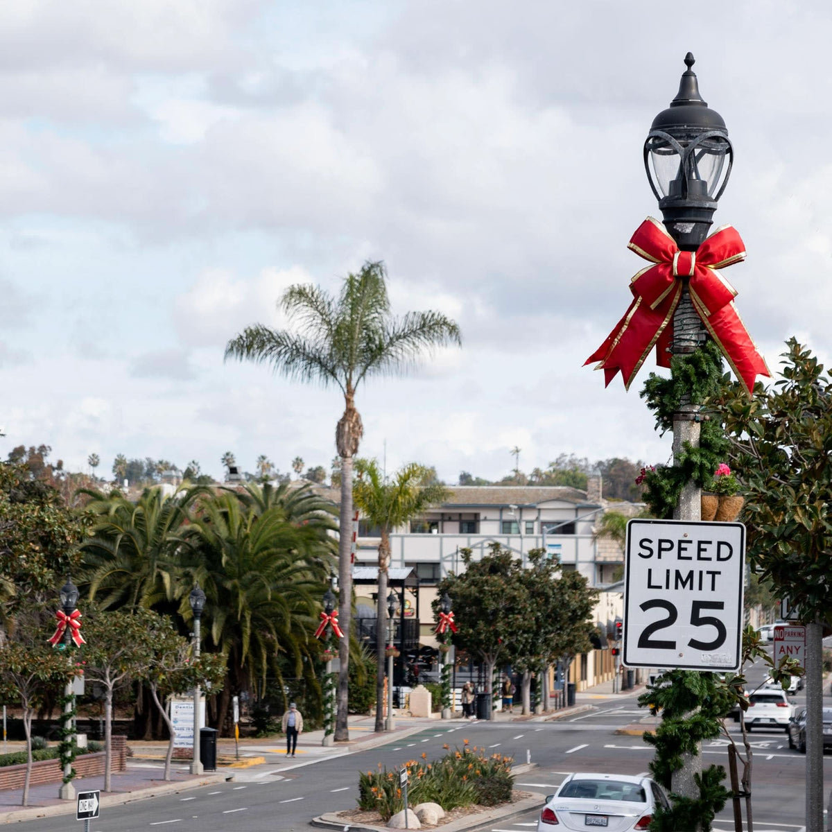 Bow Accent Kits for Light Poles