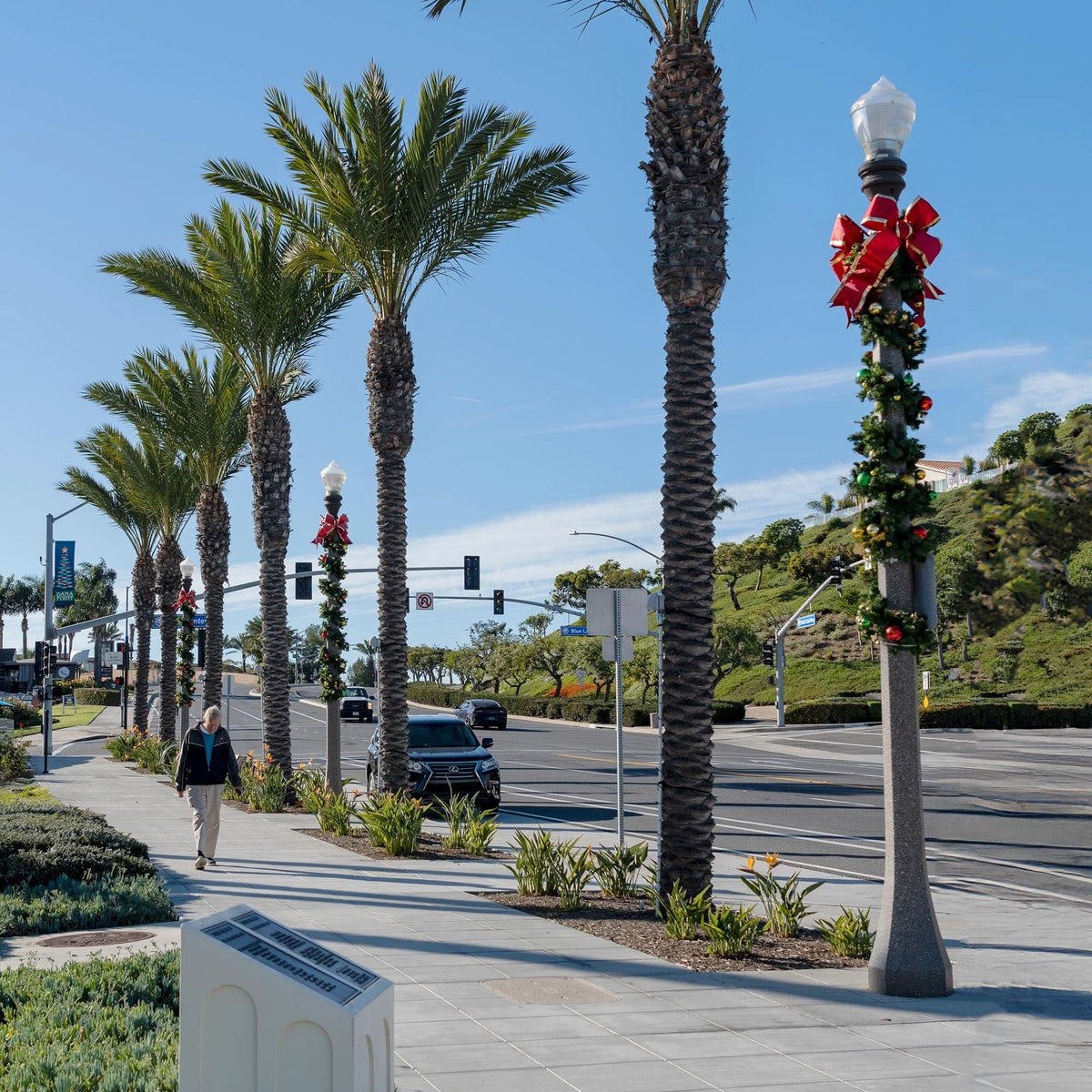 Bow Accent Kits for Light Poles