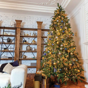 Fraser Fir Tree Collection