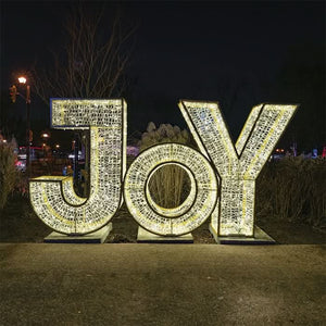 Illuminated Moa Letters - JOY