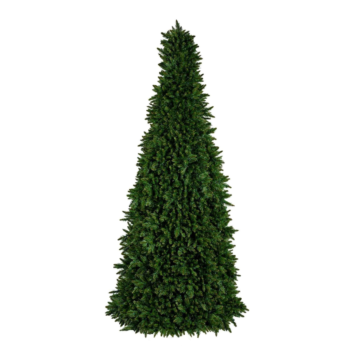 Low-Voltage Sequoia Tree Collection