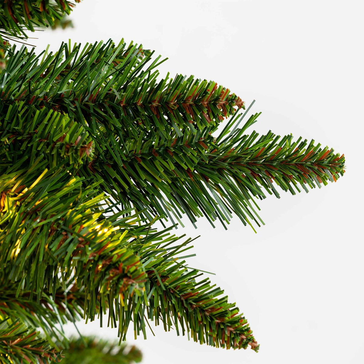 Low-Voltage Sequoia Tree Collection