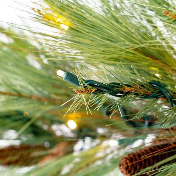 Torrey Pine Garland 10' Sections