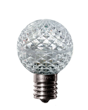 G40 LED Bulbs