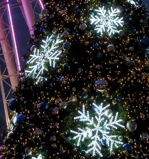 LED Ropelight Festive Snowflake