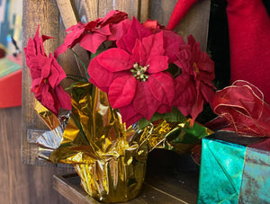 Silk Poinsettia Plant